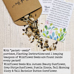 Load image into Gallery viewer, seed packet favors wildflower seeds favorfully