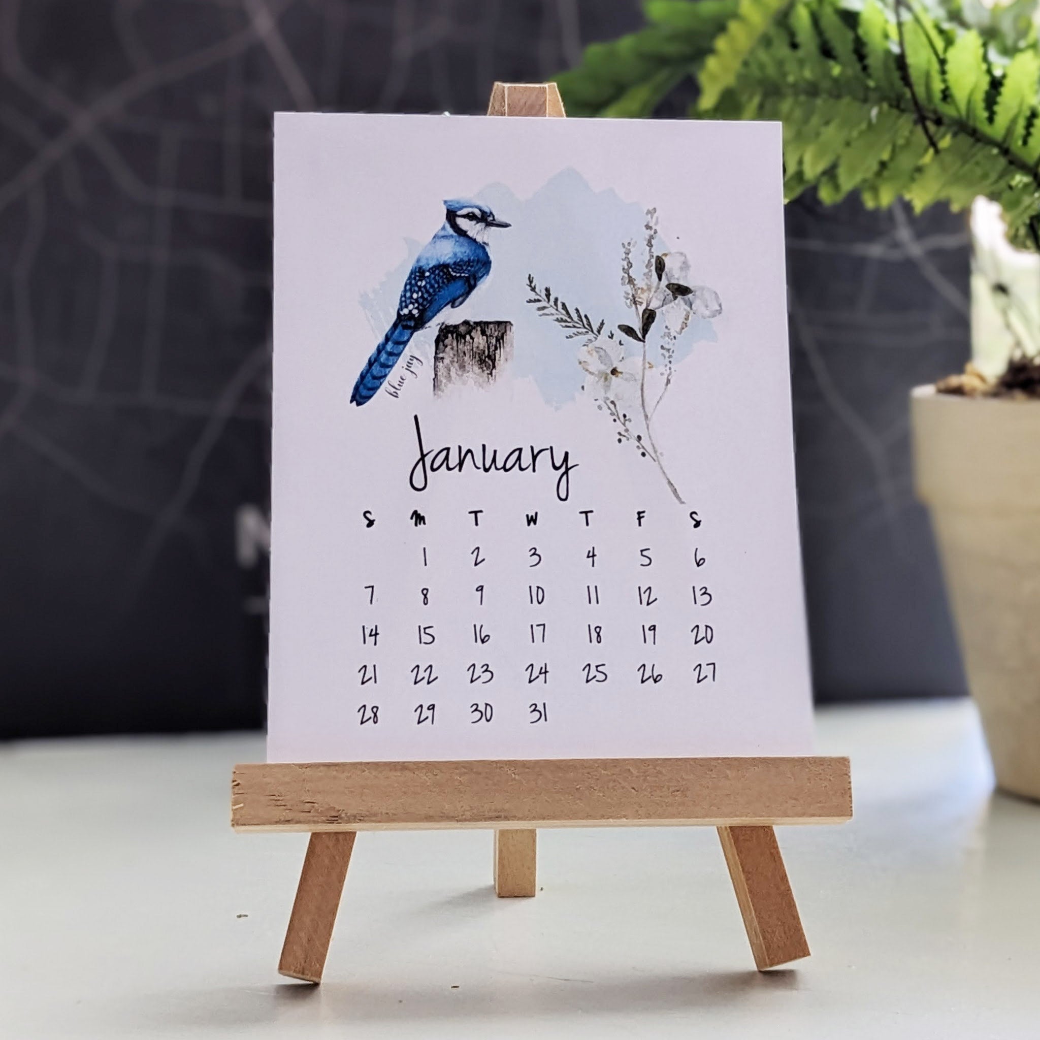 calendar 12 month wildflower and birds blue jay