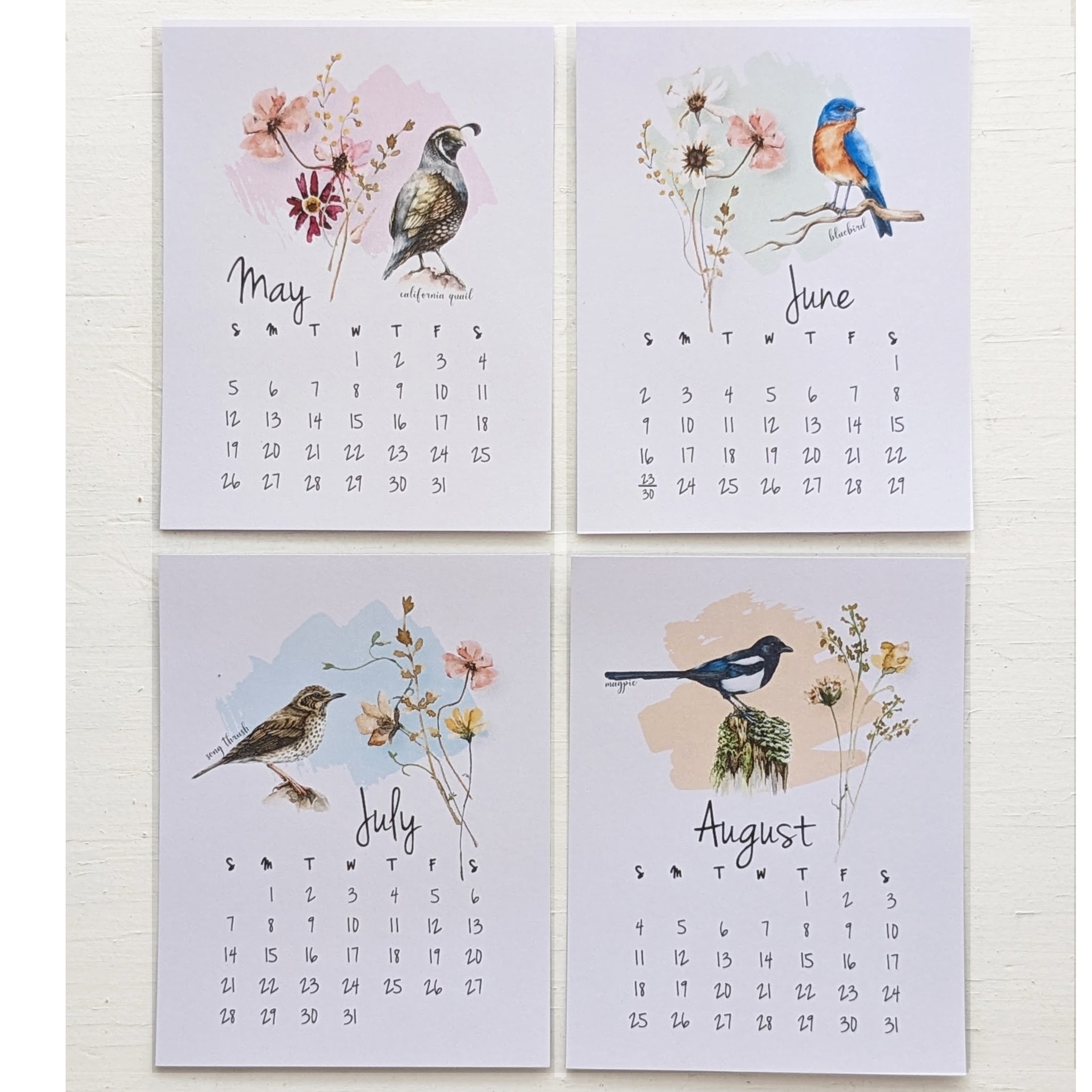 2024 birds and wildflower 12 month calendar quail bluebird thrush magpie